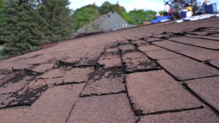 Asphalt Shingles Roofing in Florence Graham, CA